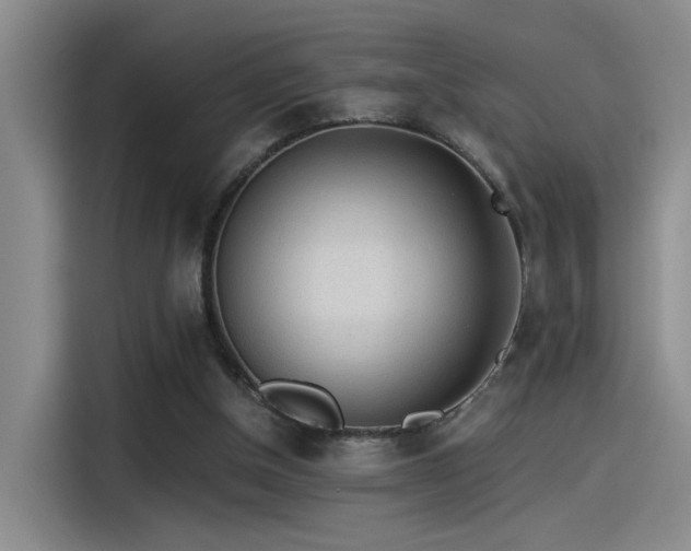 X0000115260154200911061246
