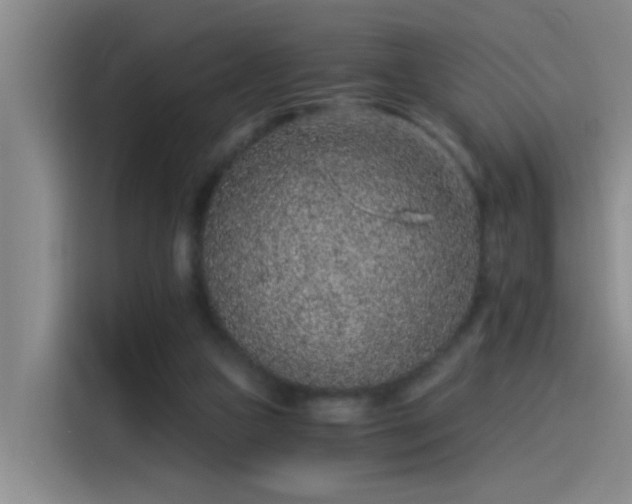 X0000115260161200911061246
