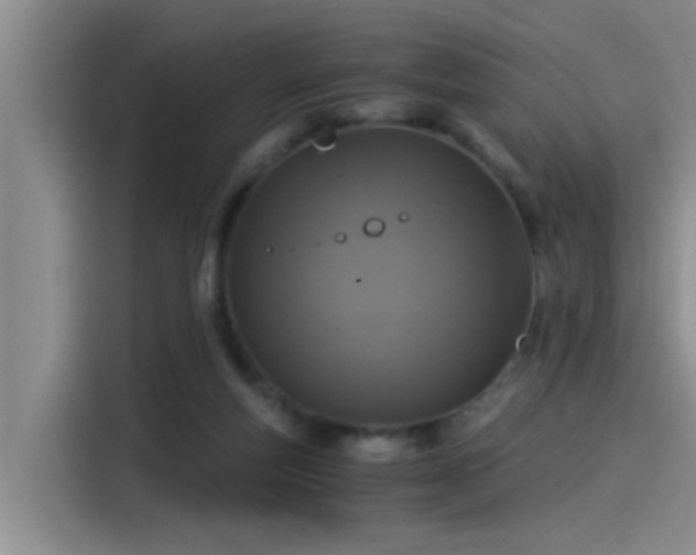 X0000115260163200911061246