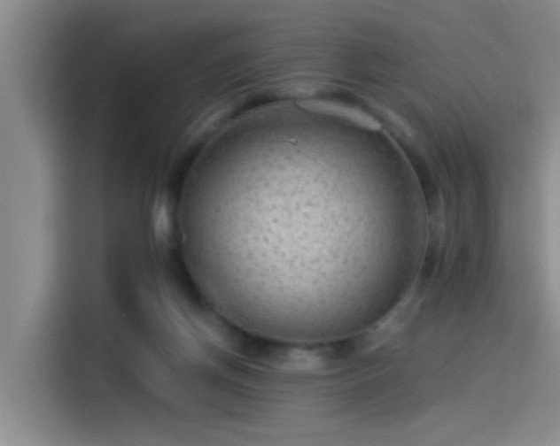 X0000115260166200911061246