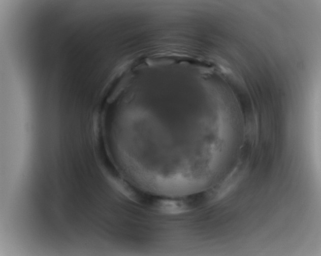 X0000115260167200911061246