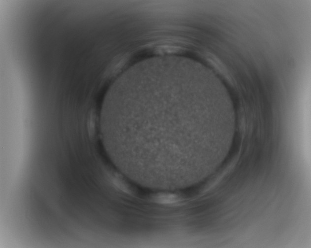 X0000115260169200911061246