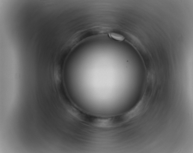 X0000115260170200911061246