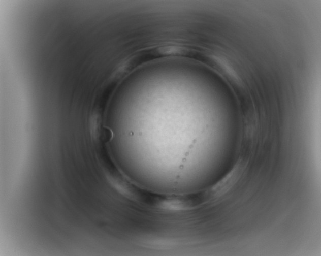 X0000115260171200911061246