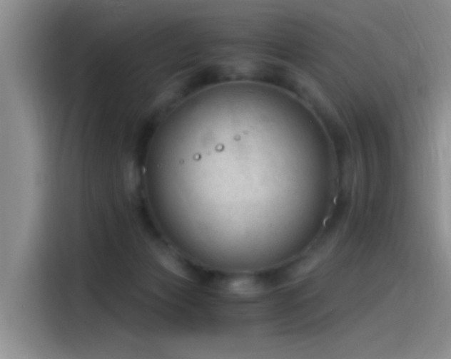 X0000115260173200911061246