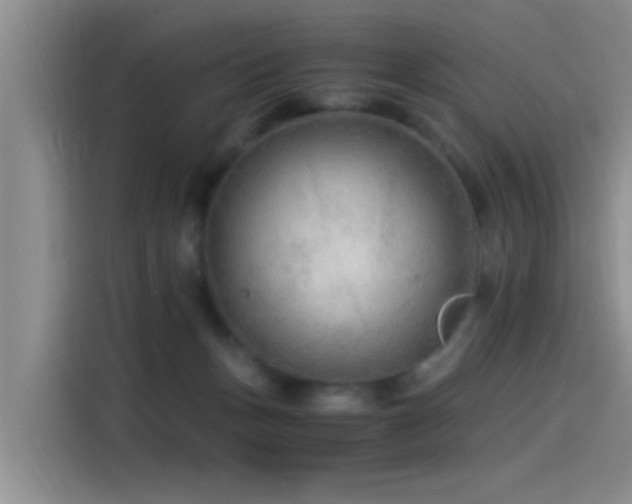 X0000115260175200911061246