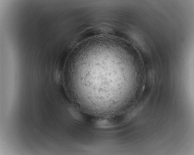 X0000115260177200911061246
