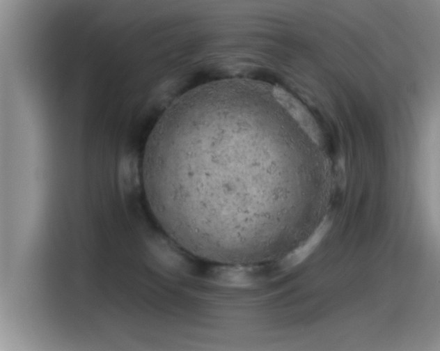X0000115260182200911061246