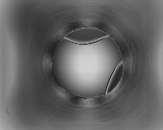 X0000115260186200911061246