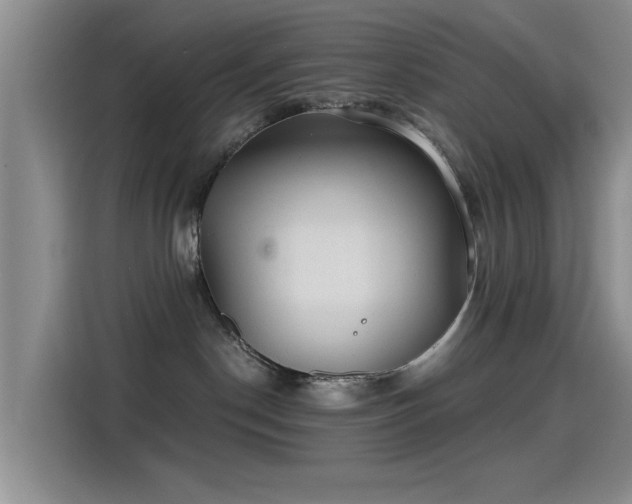 X0000115260190200911061246