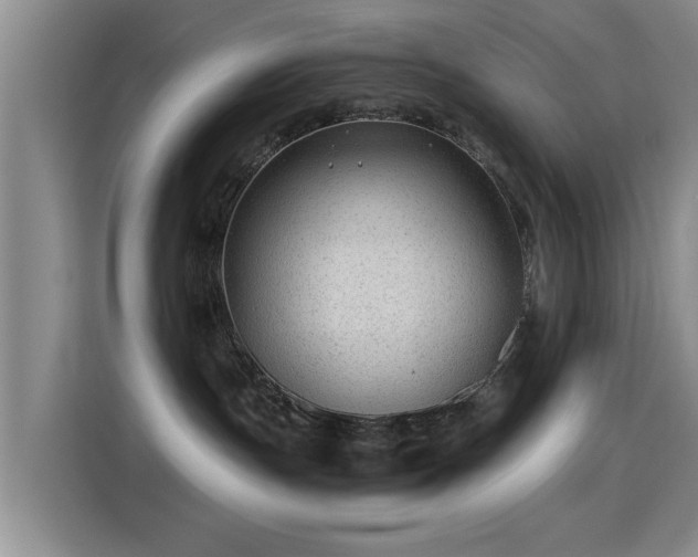 X0000115260191200911061246