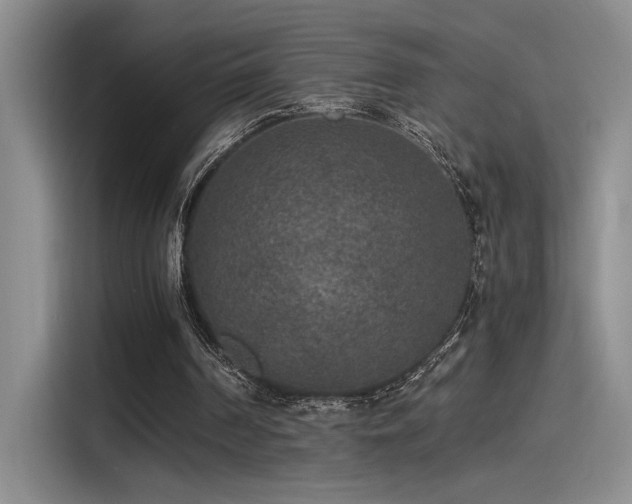 X0000115260194200911061245