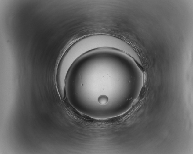 X0000115260195200911061245