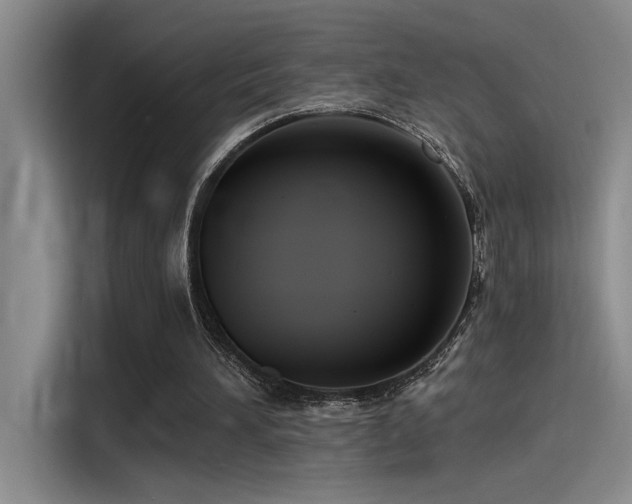 X0000115260196200911061245