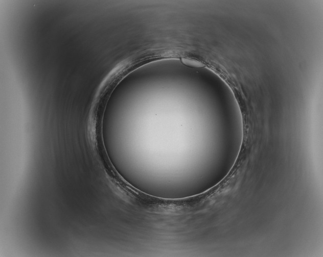 X0000115260197200911061245