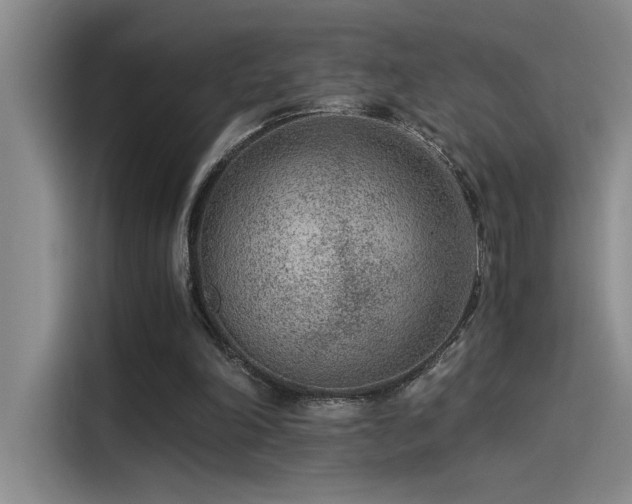 X0000115260198200911061245
