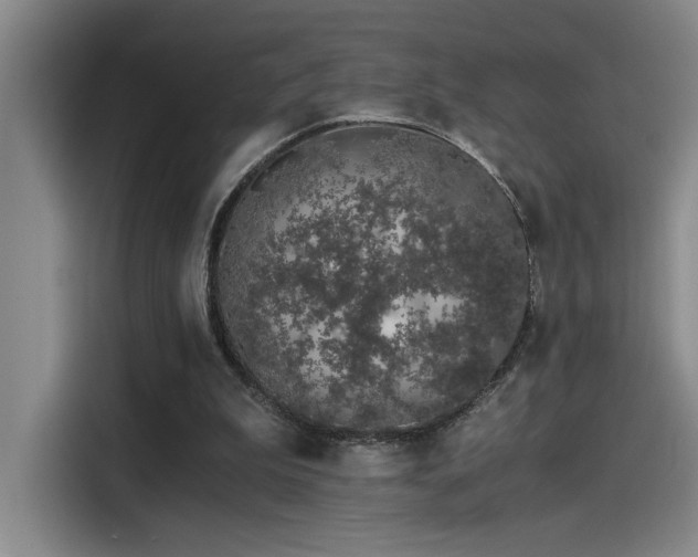 X0000115260199200911061245