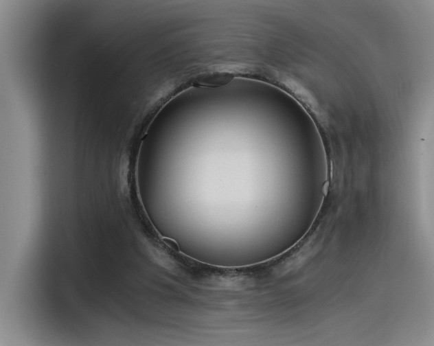 X0000115260201200911061245