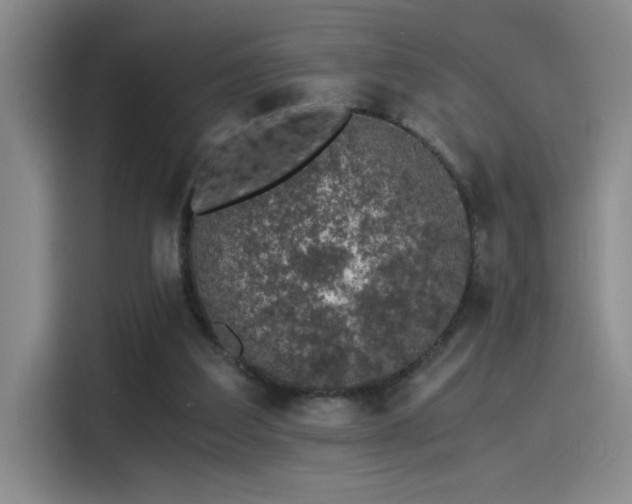 X0000115260203200911061245