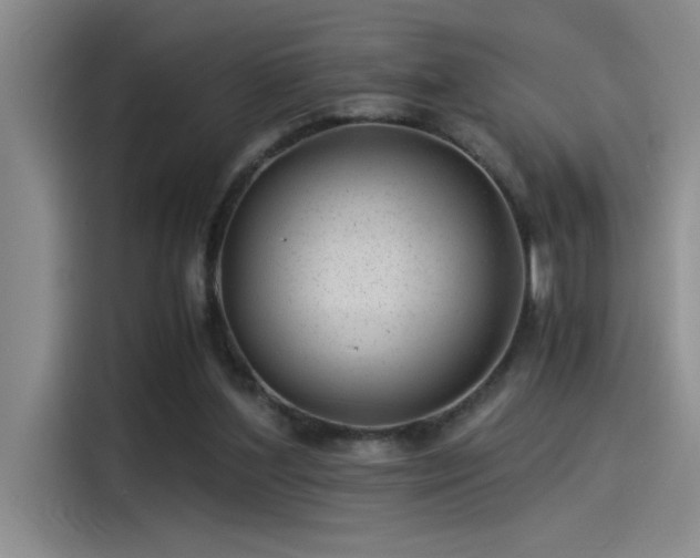 X0000115260204200911061245