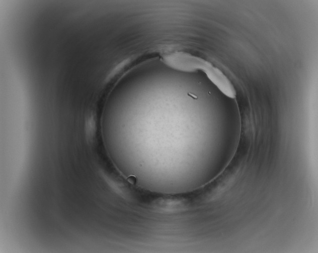 X0000115260208200911061245