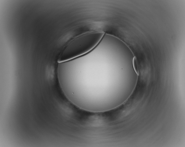 X0000115260211200911061245