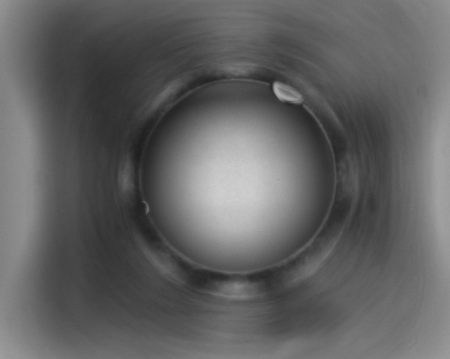 X0000115260212200911061245