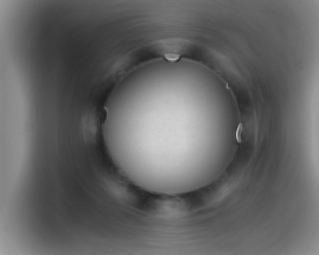 X0000115260215200911061245
