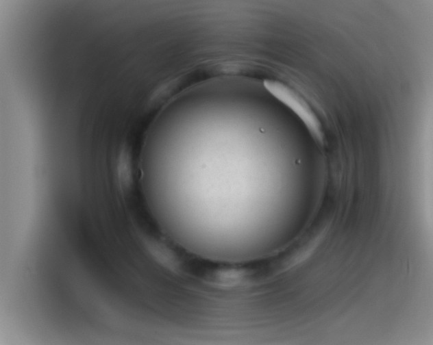 X0000115260216200911061245