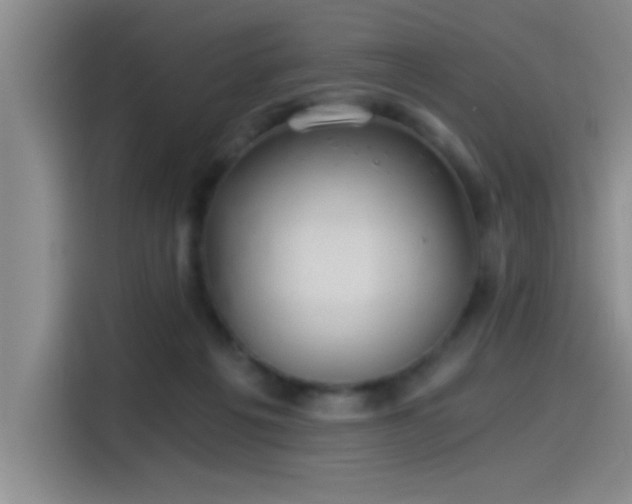 X0000115260217200911061245