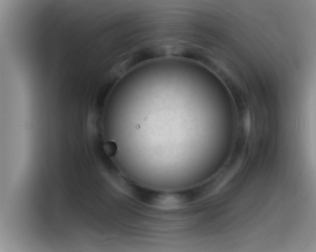 X0000115260218200911061245