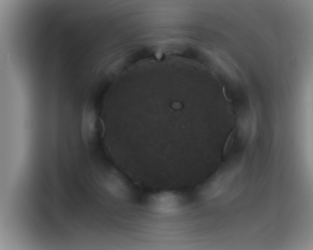X0000115260219200911061245
