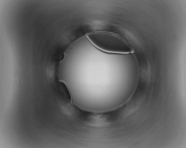 X0000115260221200911061245