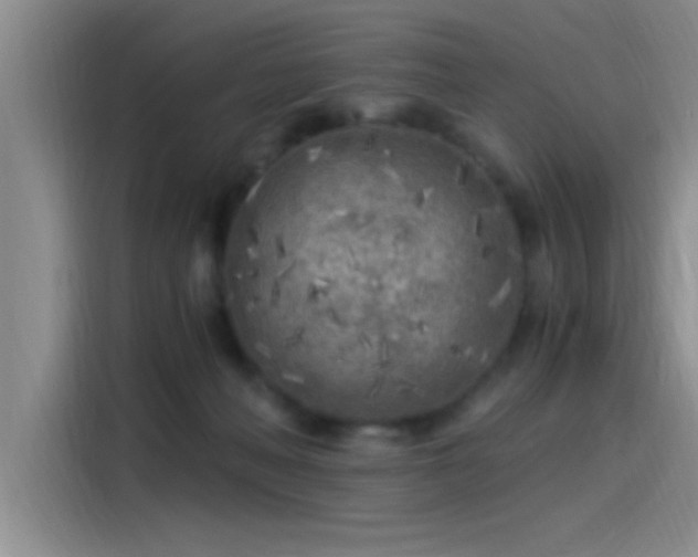 X0000115260222200911061245