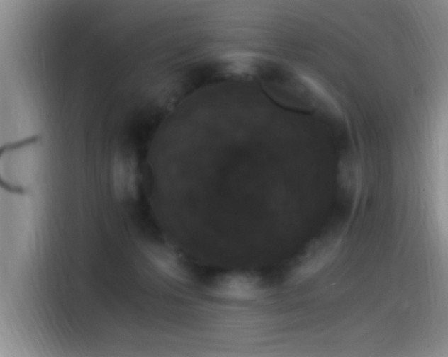 X0000115260223200911061245