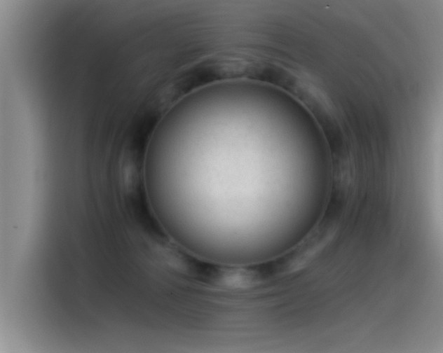 X0000115260226200911061245
