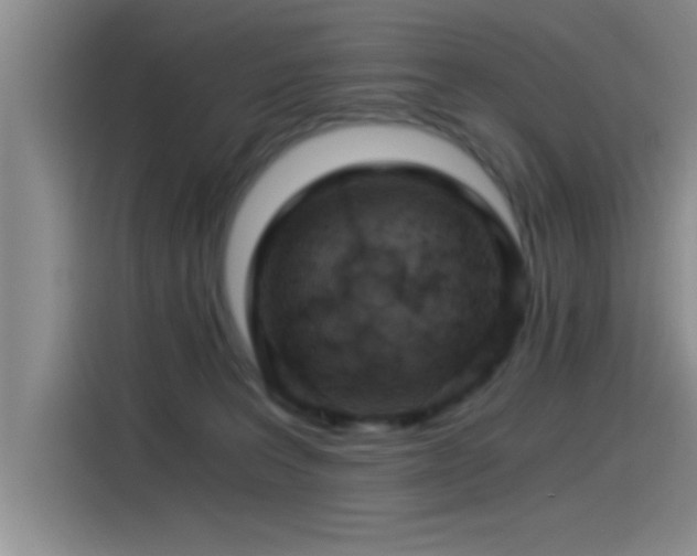 X0000115260227200911061245