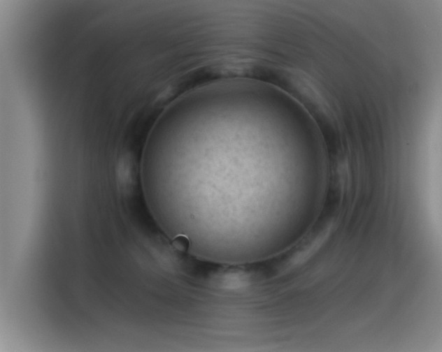 X0000115260228200911061245