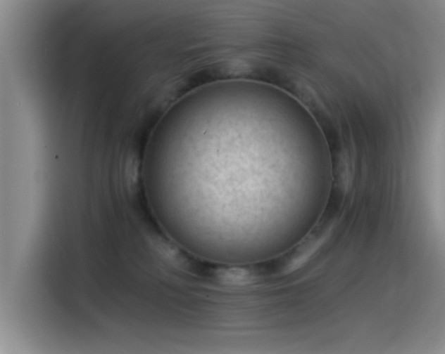 X0000115260230200911061245