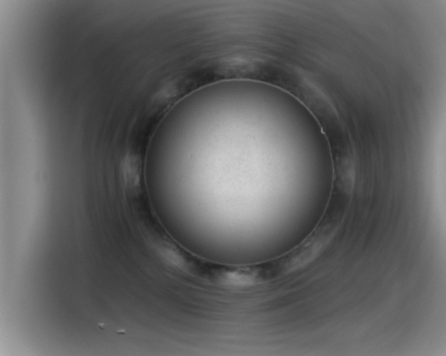 X0000115260232200911061245