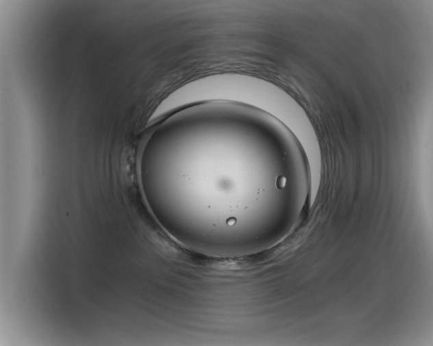 X0000115260237200911061245
