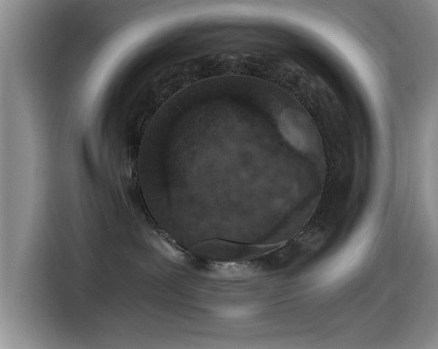 X0000115260239200911061245