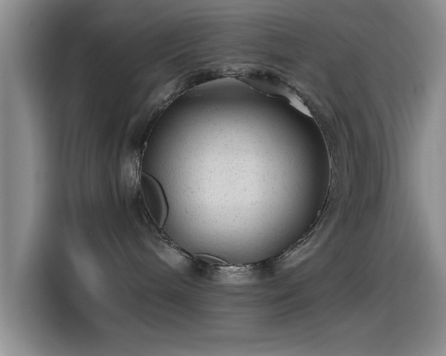 X0000115260240200911061245