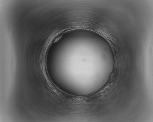 X0000115260241200911061244