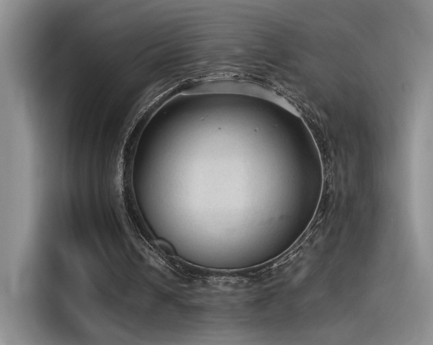 X0000115260242200911061244