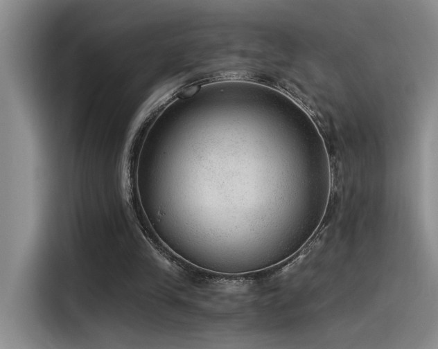 X0000115260245200911061244