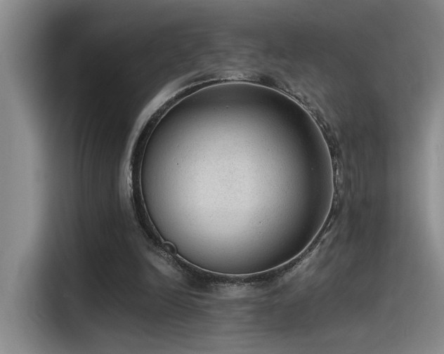 X0000115260246200911061244