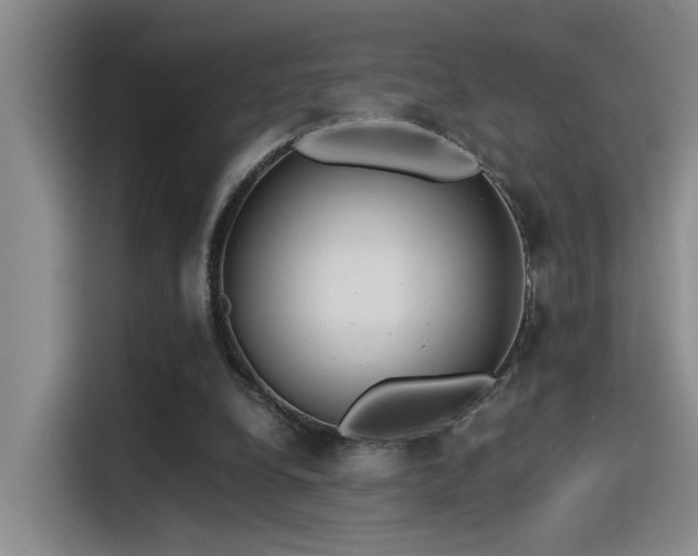 X0000115260248200911061244