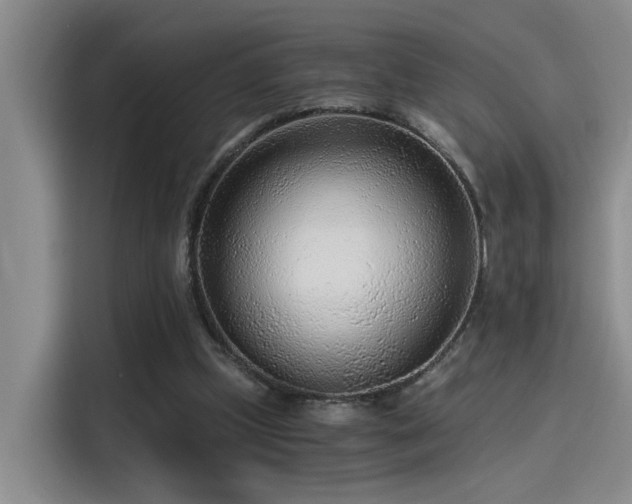 X0000115260249200911061244