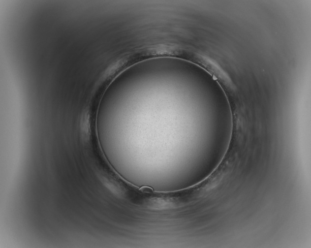 X0000115260250200911061244
